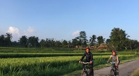 Hanging Gardens Of Bali