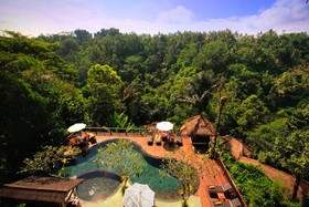 Nandini Jungle by Hanging Gardens