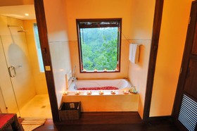 Nandini Jungle by Hanging Gardens