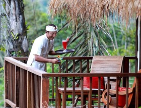 Nandini Jungle by Hanging Gardens