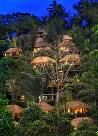 Nandini Jungle by Hanging Gardens