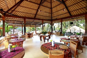 Nandini Jungle by Hanging Gardens