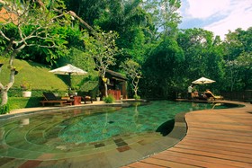 Nandini Jungle by Hanging Gardens