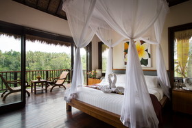 Nandini Jungle by Hanging Gardens