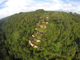 Nandini Jungle by Hanging Gardens