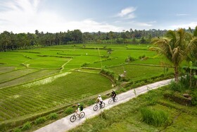 Padma Resort Ubud