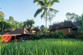 Song Broek Jungle Resort