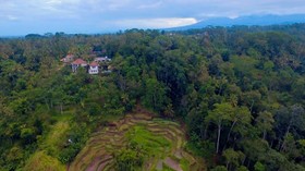 Ubud Green View Villas
