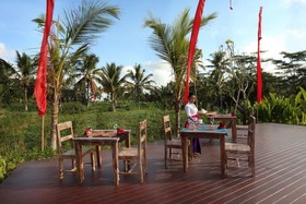 Villa Tegal Tis Ubud