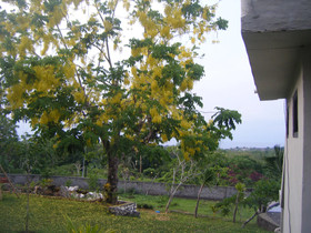 3D Home Stay