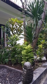 Medori Putih Homestay