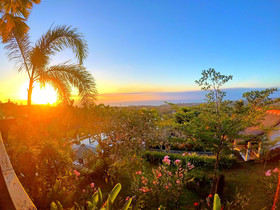 The Eyes Bali