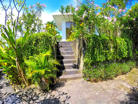The Eyes Bali