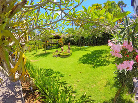 The Eyes Bali
