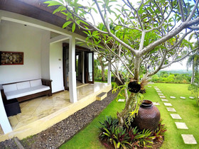 The Eyes Bali