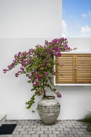 Villa Oasi 1 By Alfred In Bali