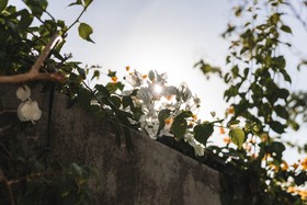 Villa Osun