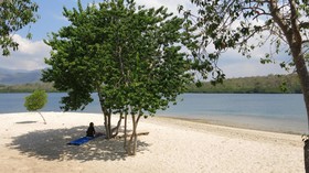 Batu Ampar Bungalows