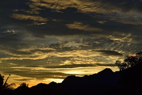 Menjangan Sari