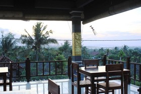 Menjangan Sari