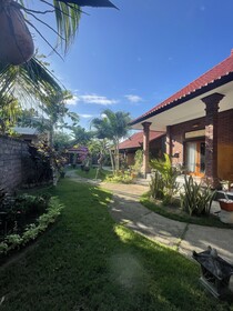 Tebu Menjangan