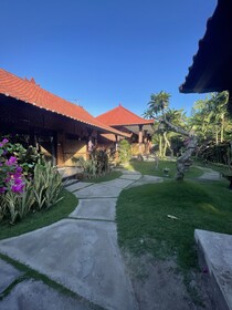 Tebu Menjangan