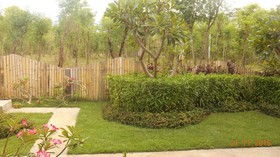 The Local Menjangan