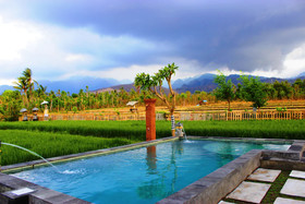 Umma Bali Menjangan
