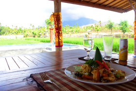 Umma Bali Menjangan