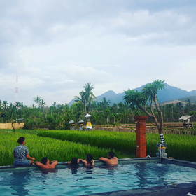 Umma Bali Menjangan