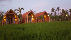 Umma Bali Menjangan