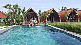Umma Bali Menjangan