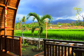 Umma Bali Menjangan