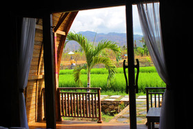 Umma Bali Menjangan