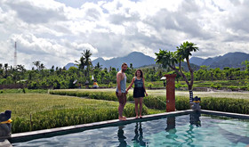 Umma Bali Menjangan
