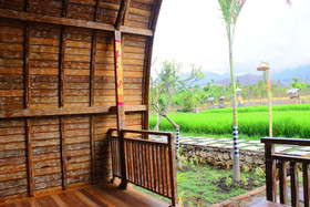 Umma Bali Menjangan
