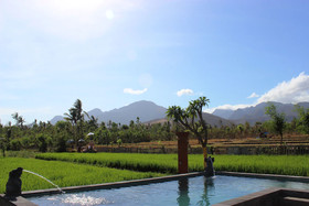 Umma Bali Menjangan
