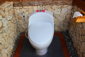 Umma Bali Menjangan