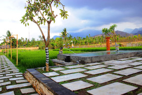 Umma Bali Menjangan