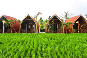 Umma Bali Menjangan