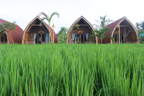 Umma Bali Menjangan