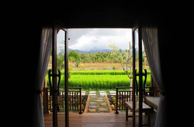 Umma Bali Menjangan