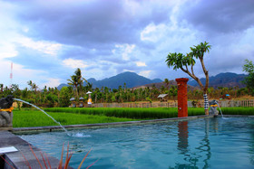Umma Bali Menjangan