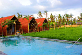 Umma Bali Menjangan
