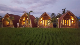 Umma Bali Menjangan