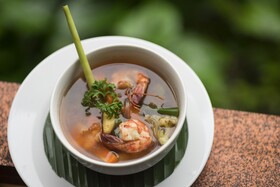 Jungle Haven Resort Central