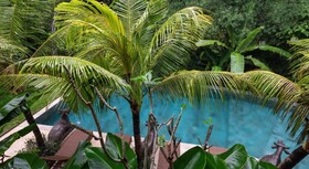 Jungle Haven Resort Central