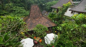 Jungle Haven Resort Central