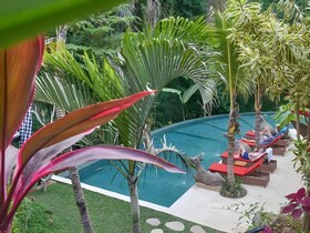 Jungle Haven Resort Central