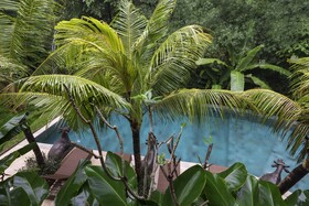 Jungle Haven Resort Central
